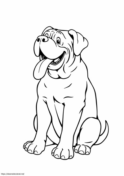 Mastiff englez