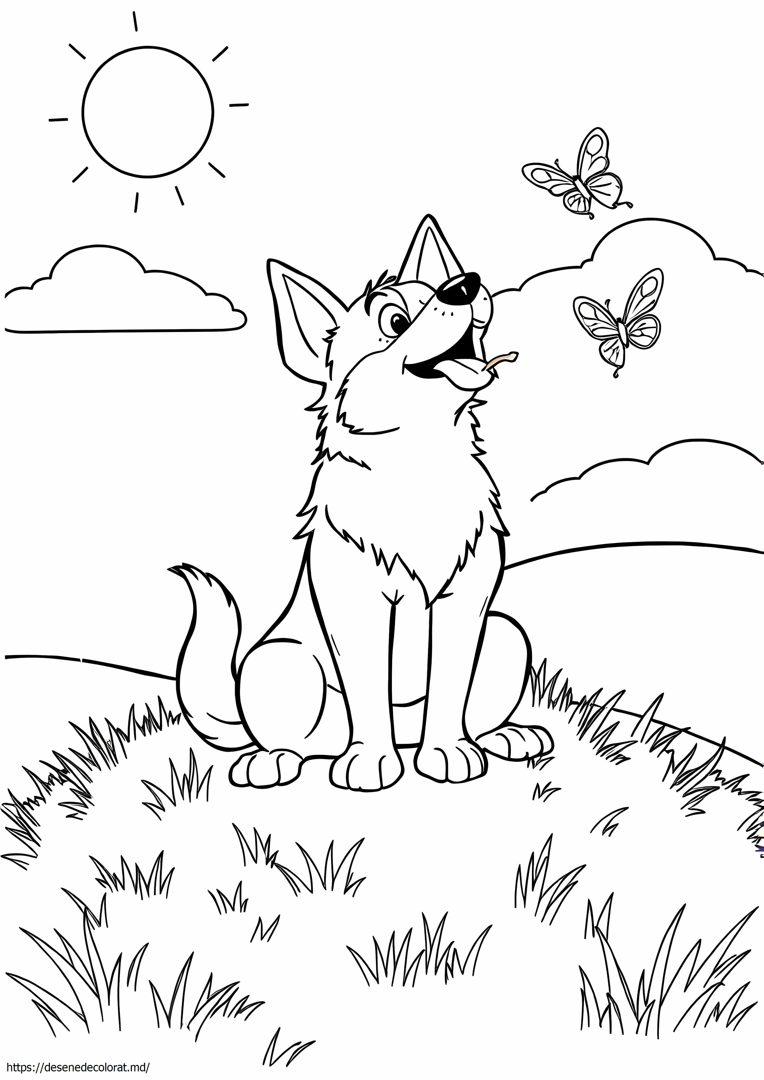 Merle