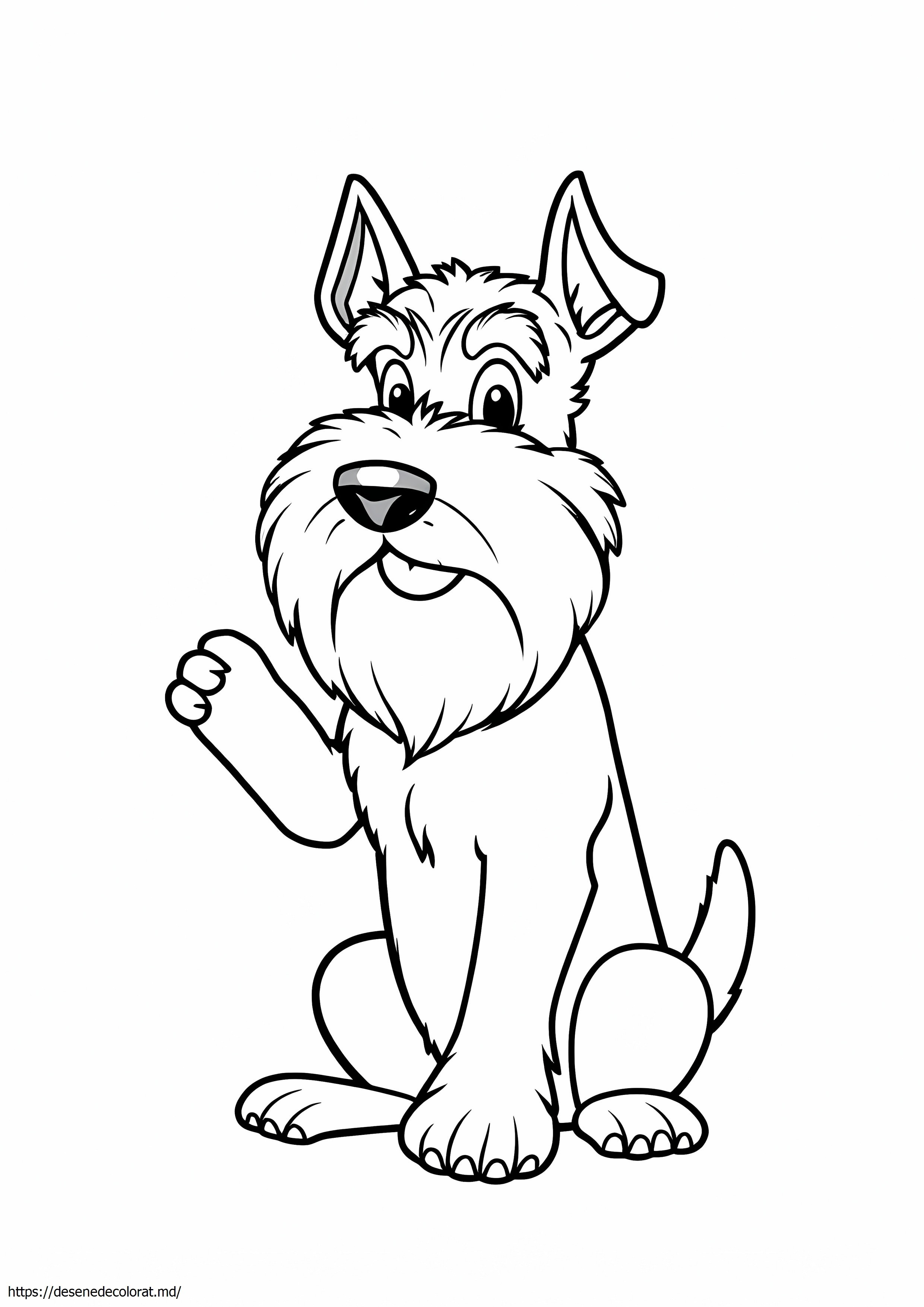 Schnauzer