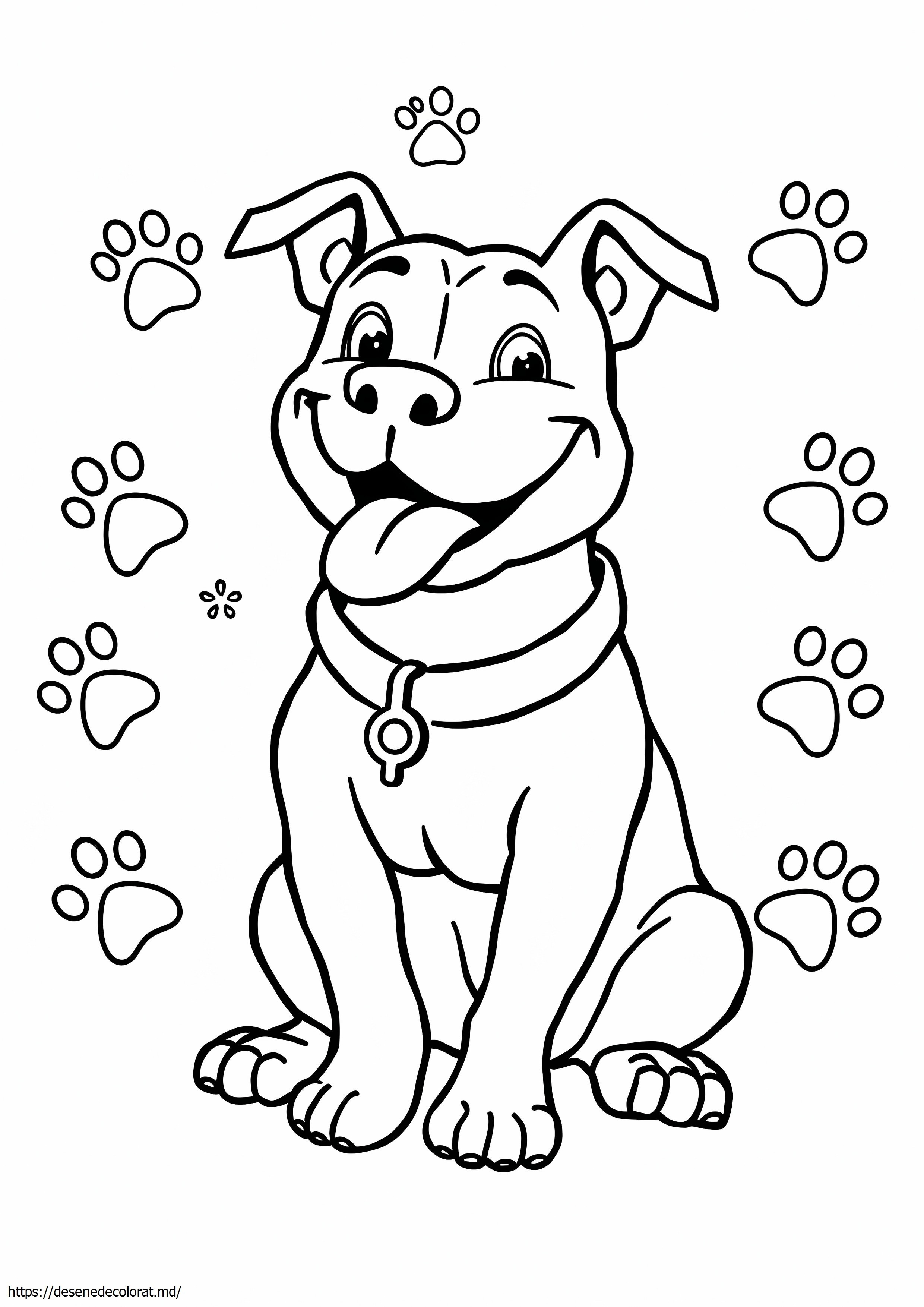 Pitbull
