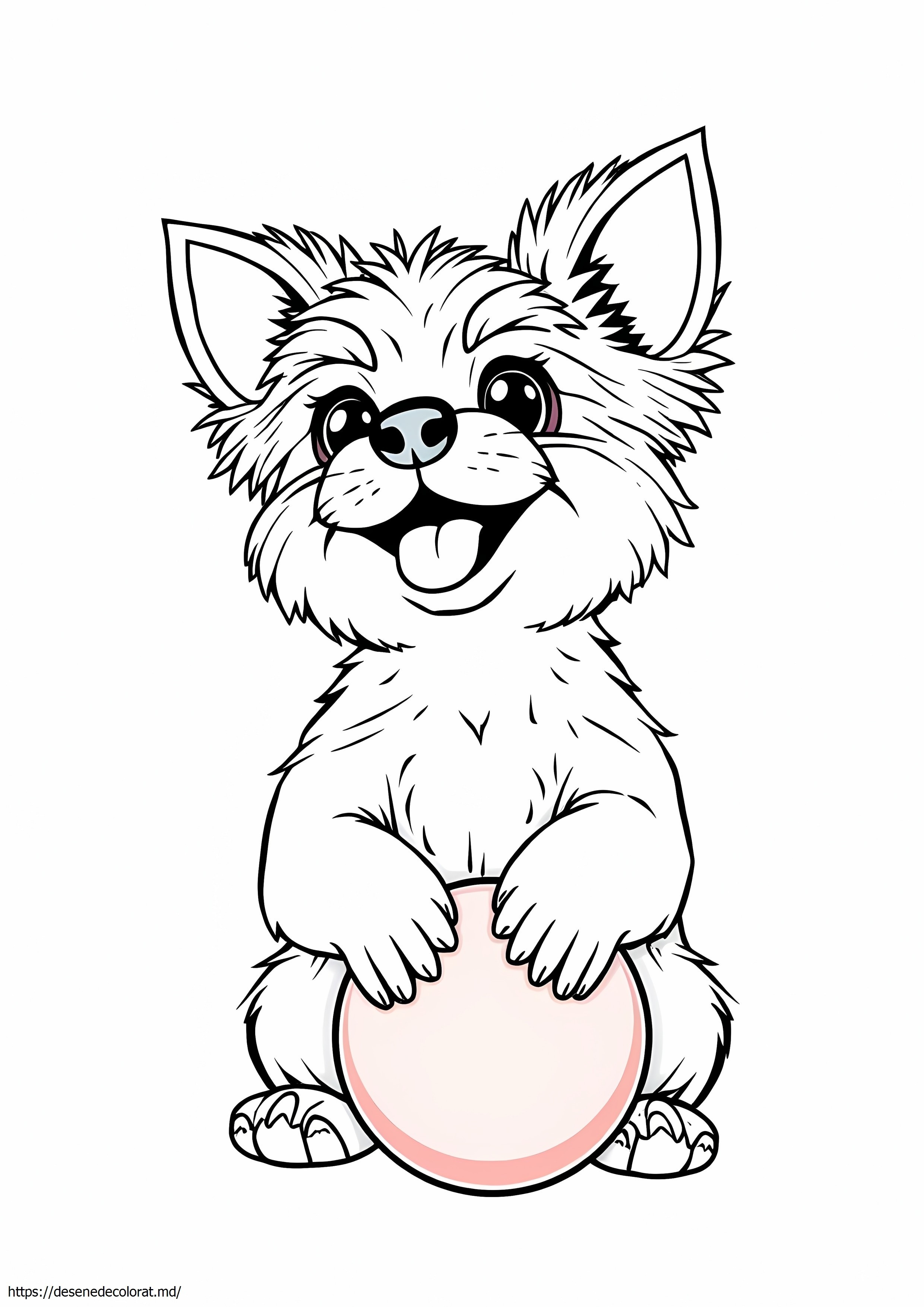 Yorkie