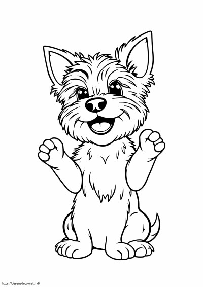 Yorkshire terrier