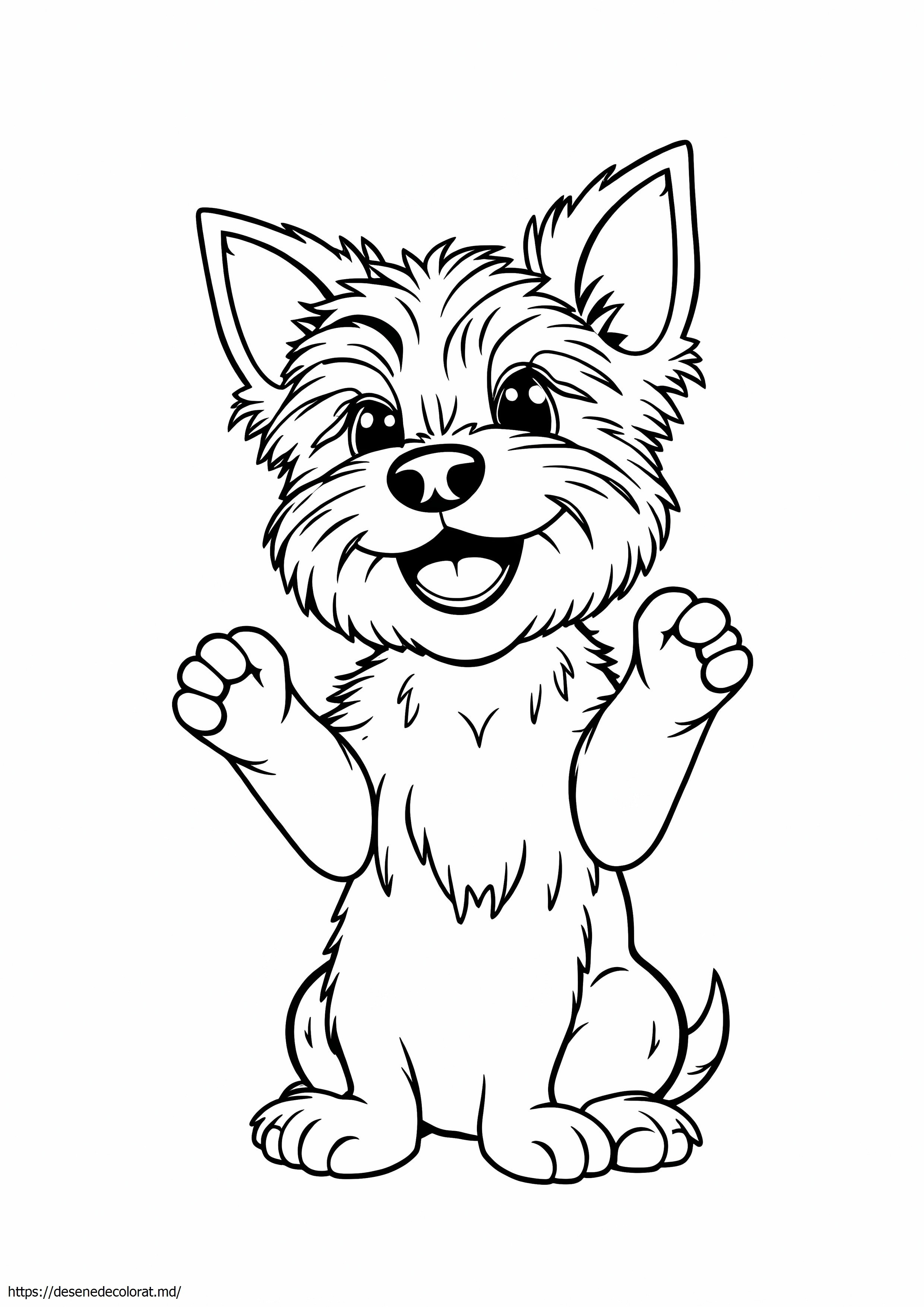 Yorkshire terrier