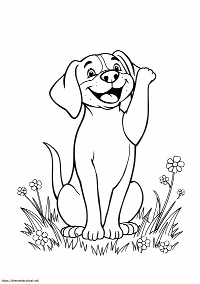 Beagle realist