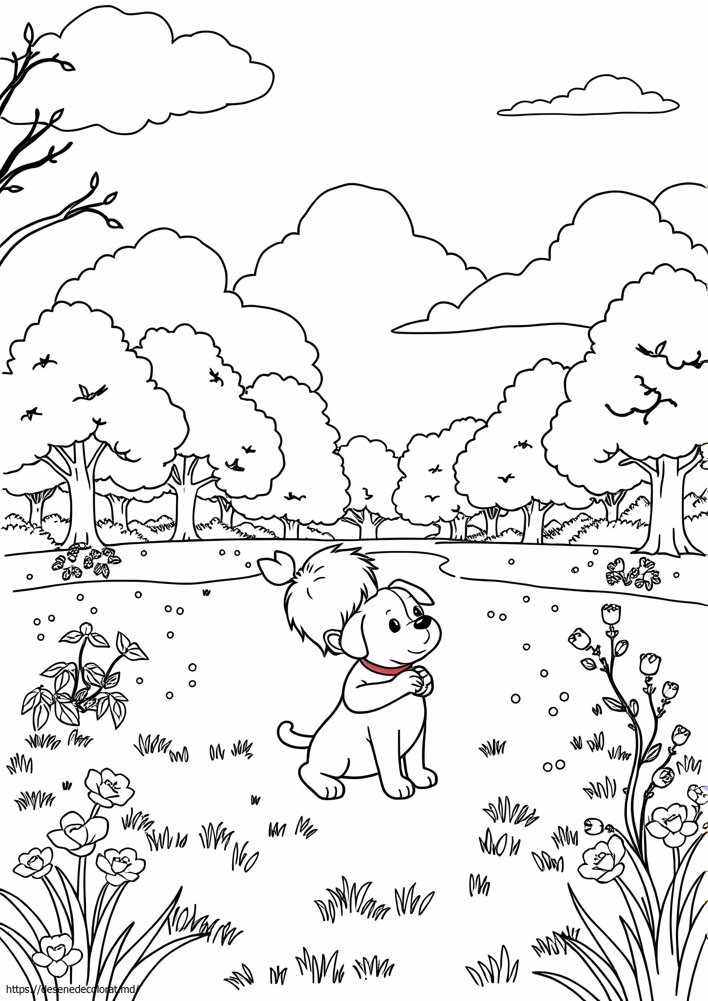 Carte de colorat pdf download