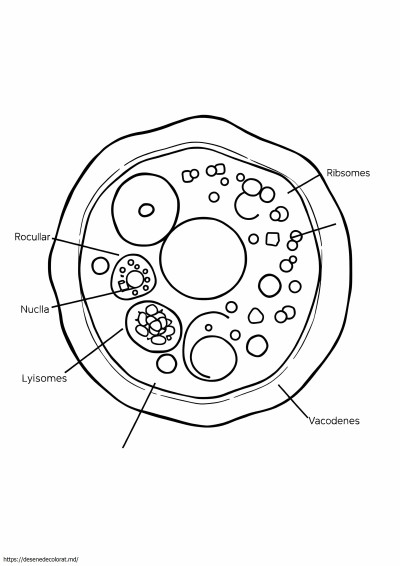 Organele celulare