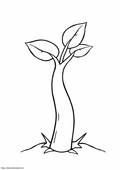 Tulpina