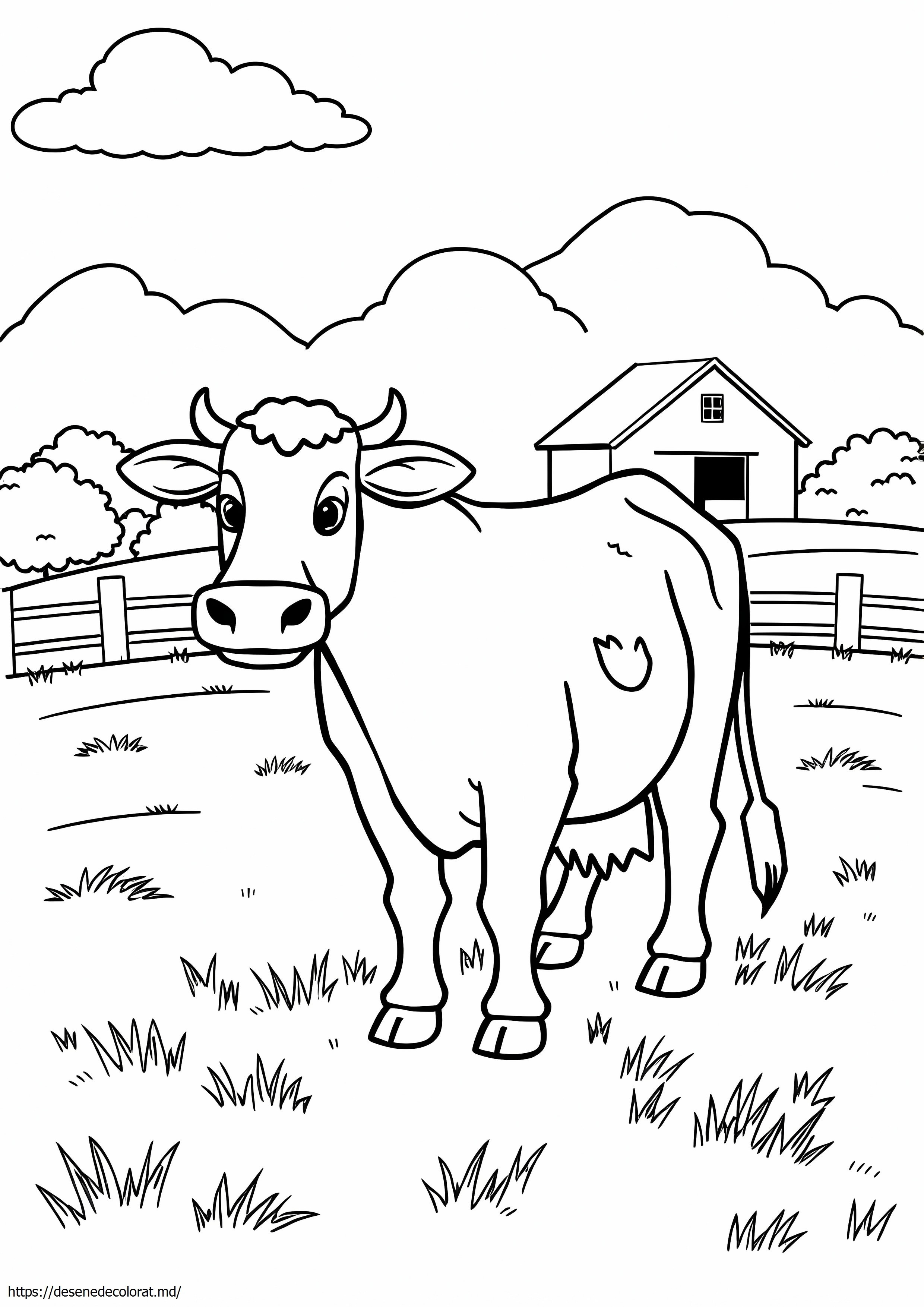 Bovine