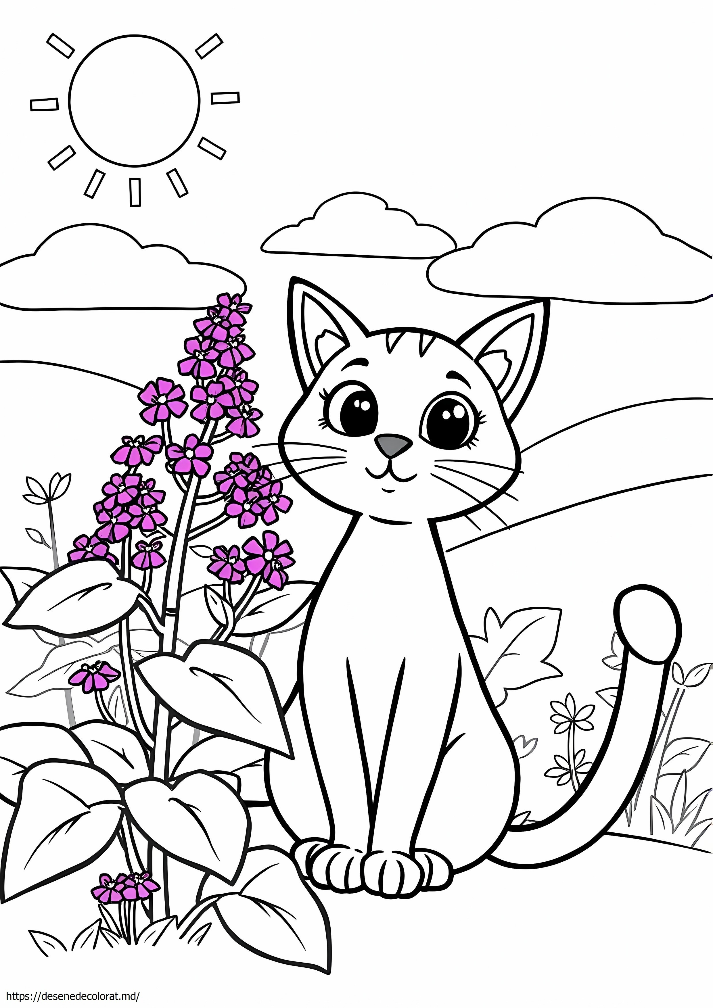 Catnip