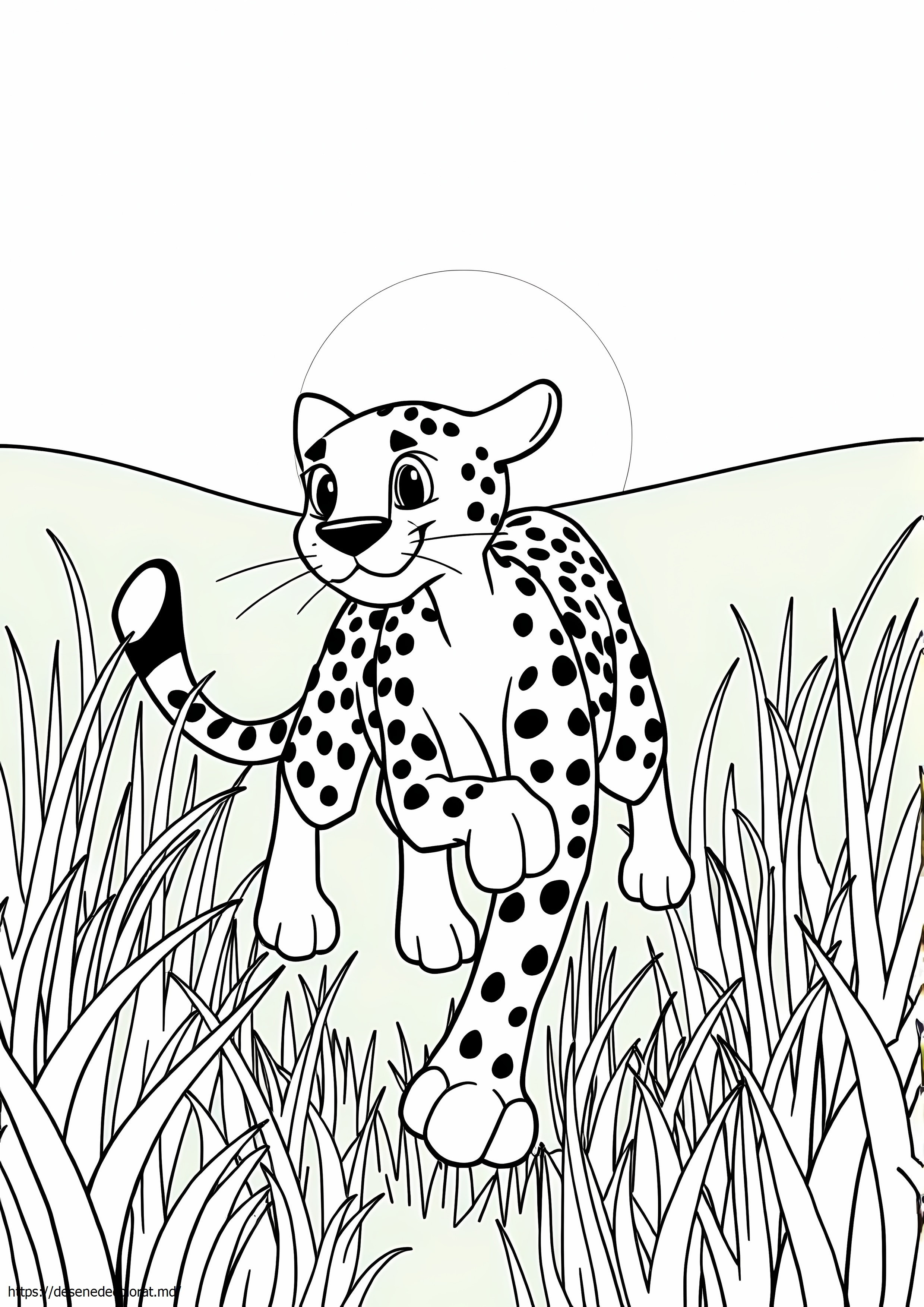 Ghepard kratts sălbatici
