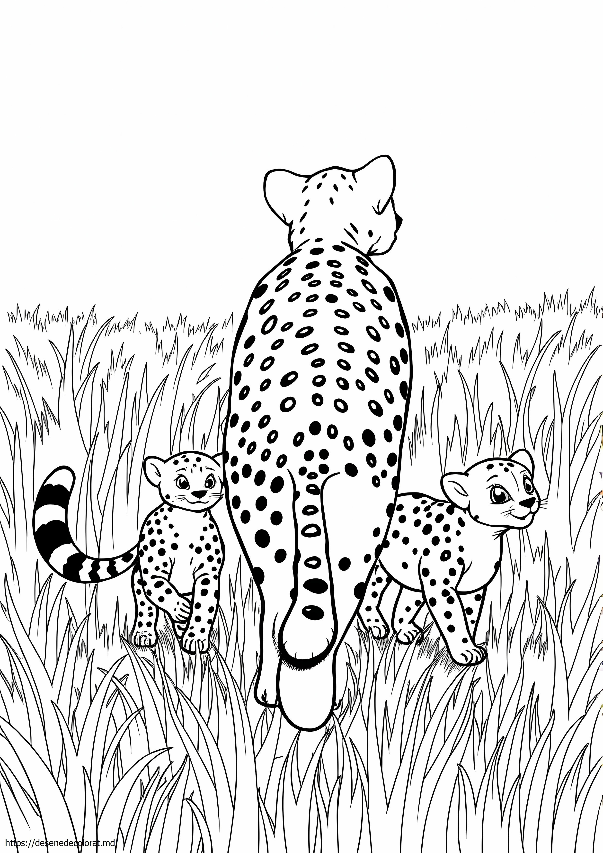 Familia ghepardului