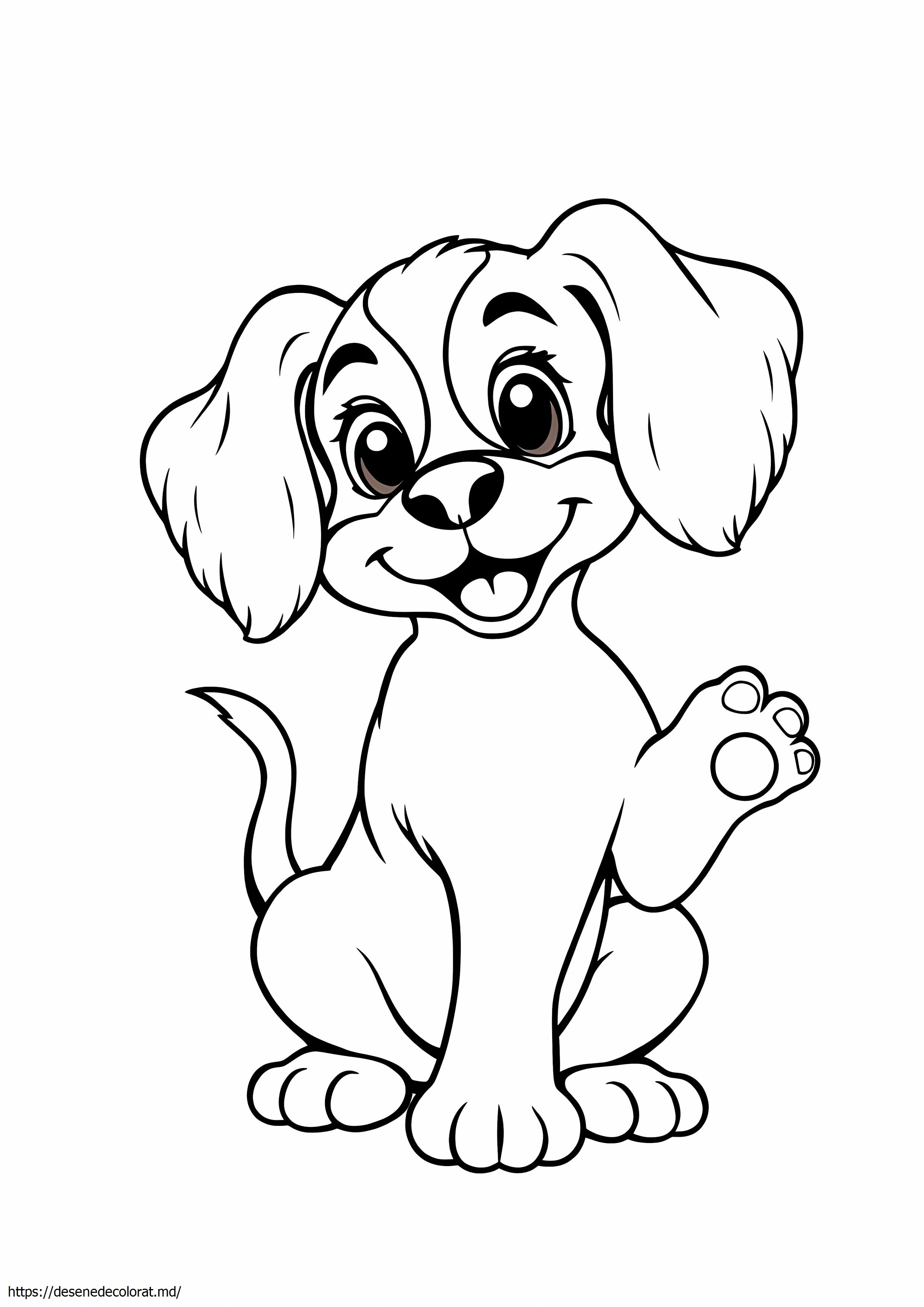 Catelus cocker spaniel