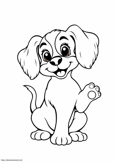 Catelus cocker spaniel