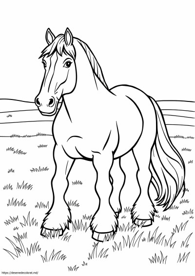 Clydesdale horse horse horse