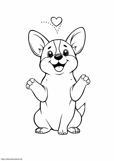 Catelus corgi