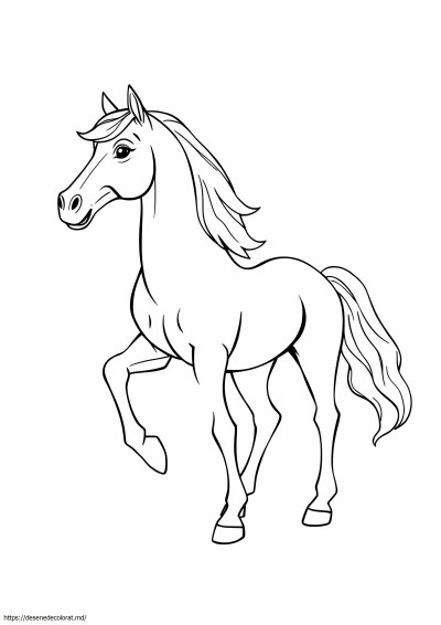 Cal breyer
