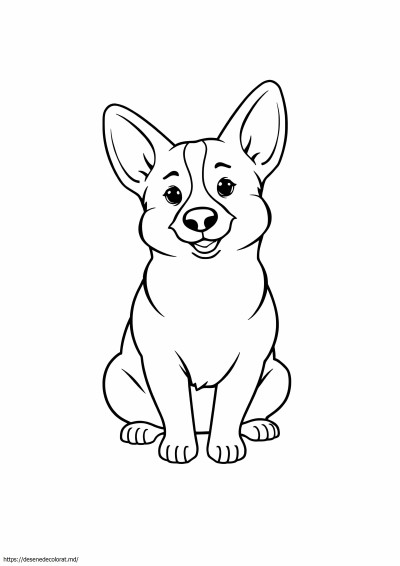Câine corgi