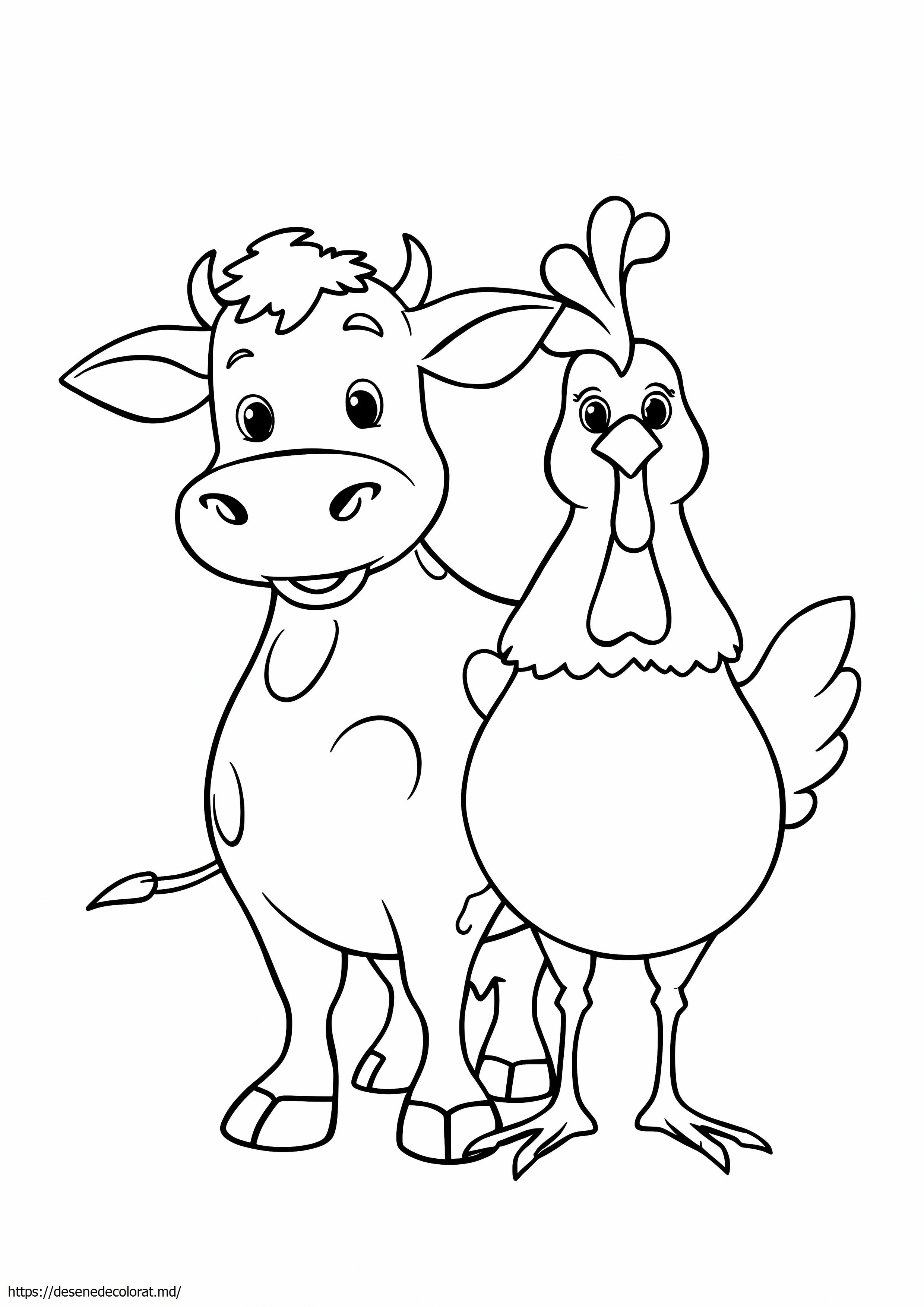 Vaca si pui