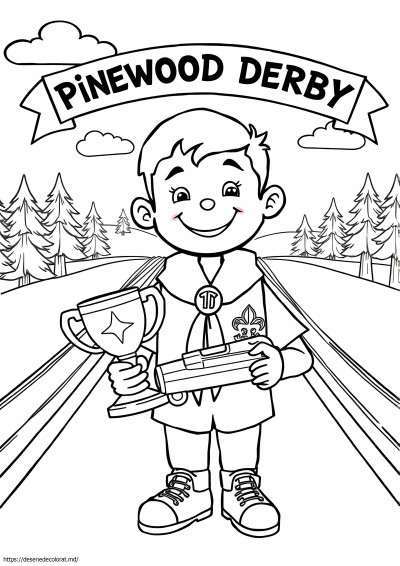 Cub scout pinewood derby