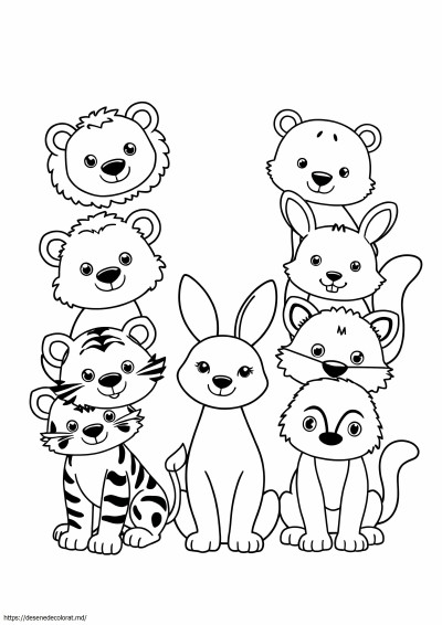 Pui