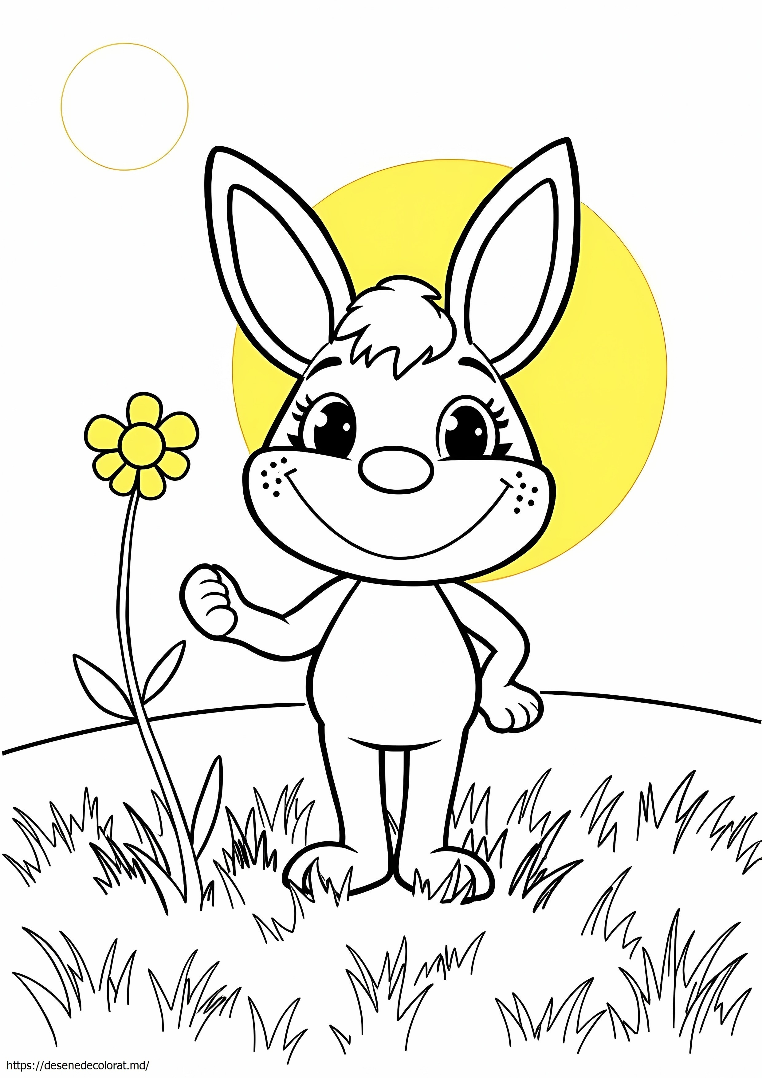 Springbonnie