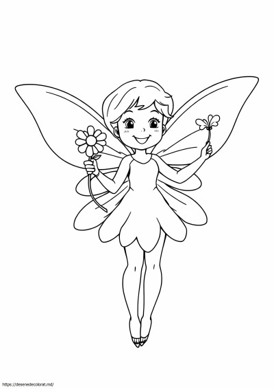 11x17 zana usoara