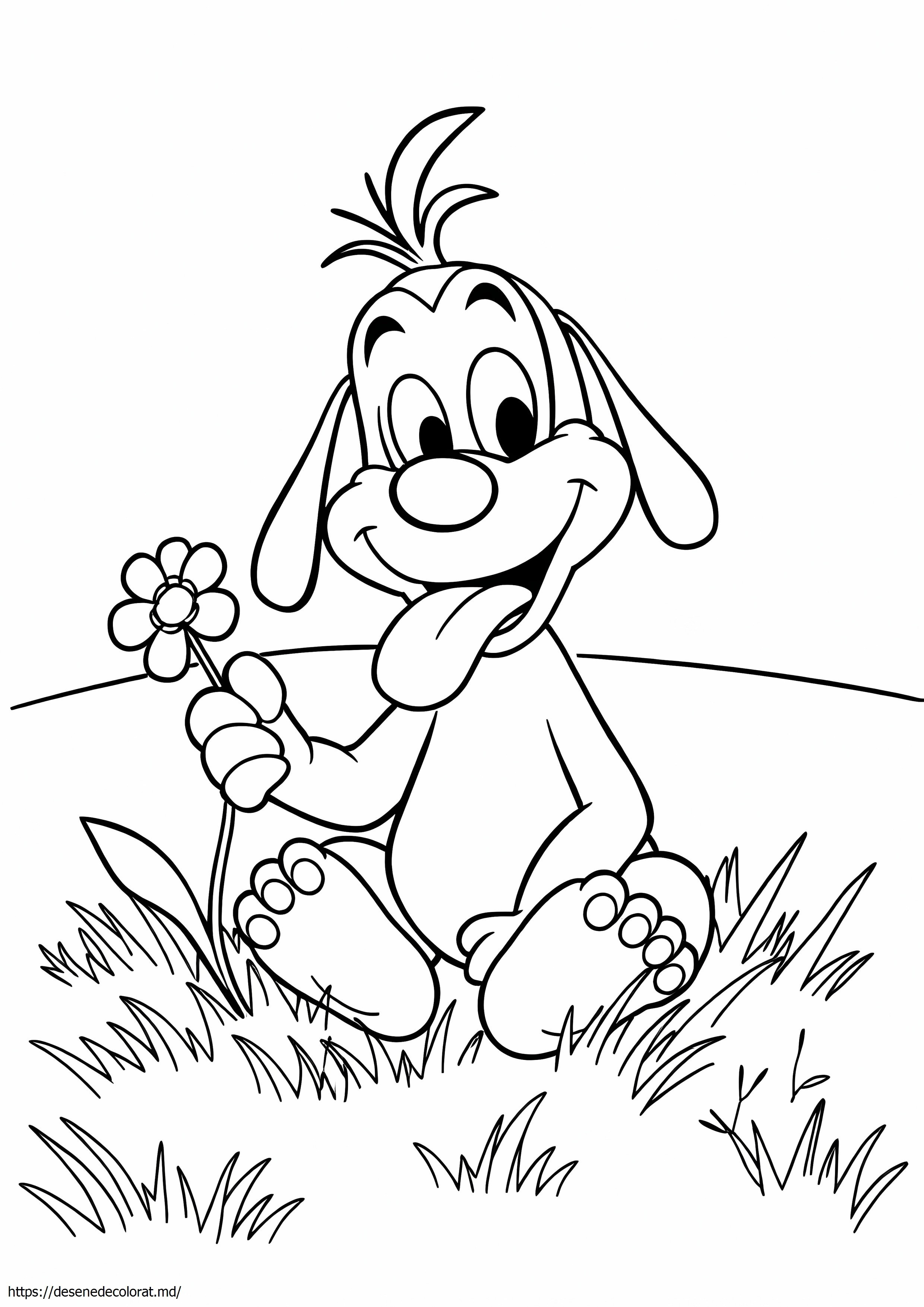 Drăguț copil goofy