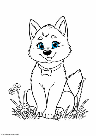 Drăguț copil husky