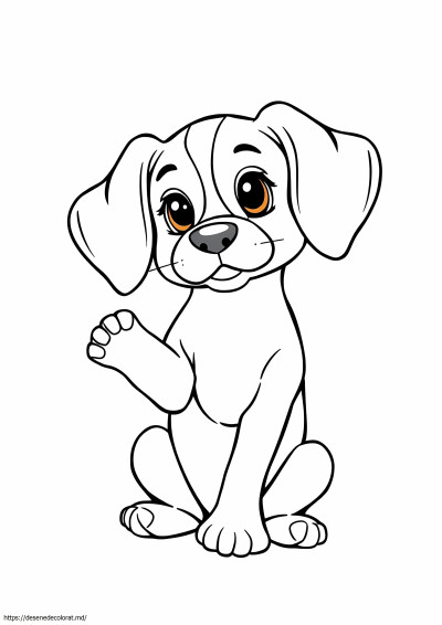 Drăguț cățeluș beagle