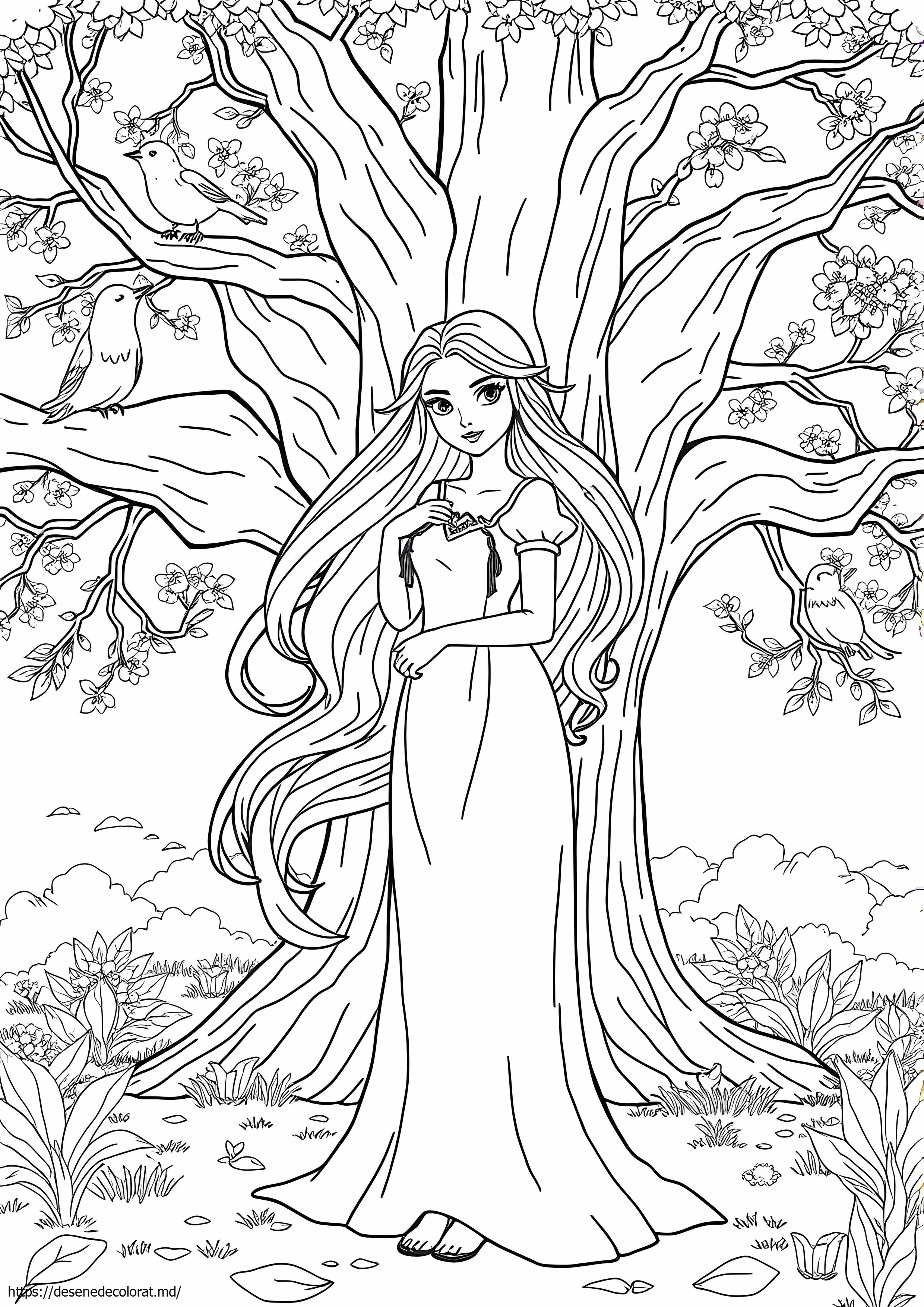 Acotar