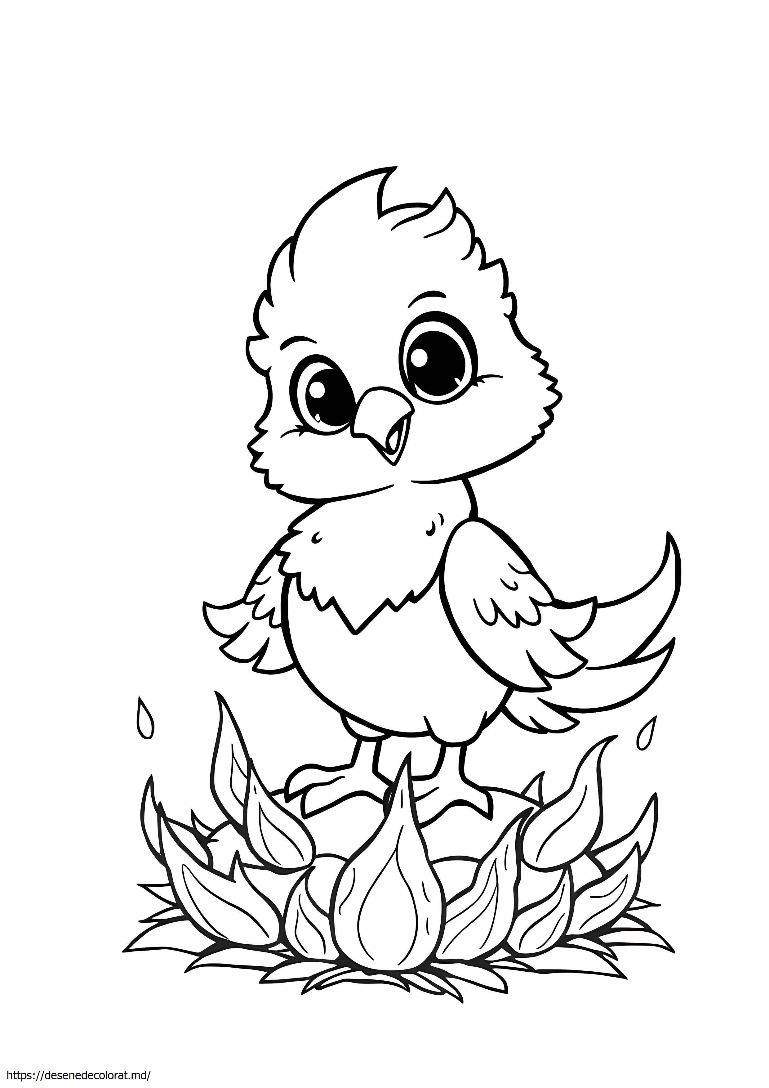 Pui de Phoenix