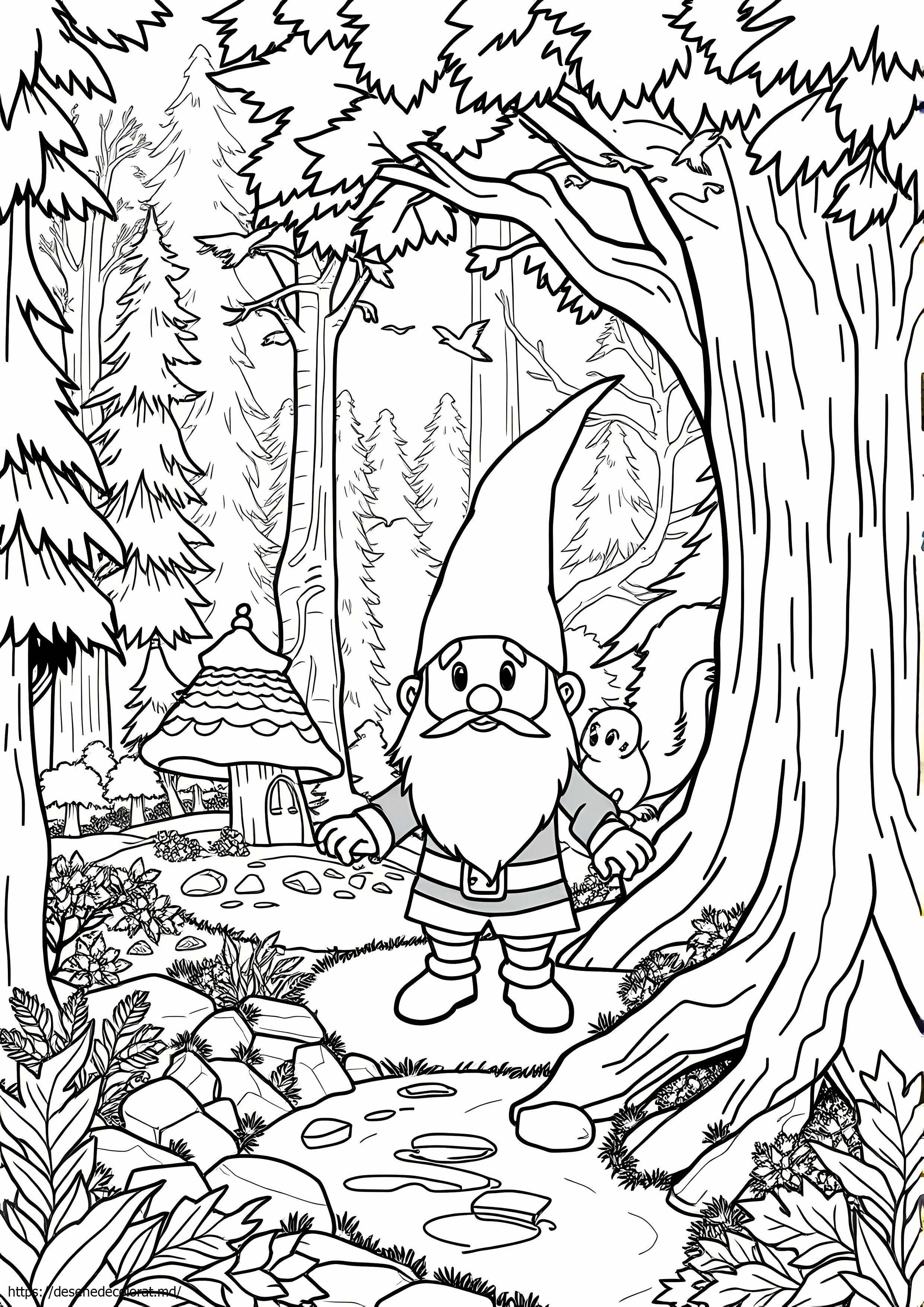 David gnomul
