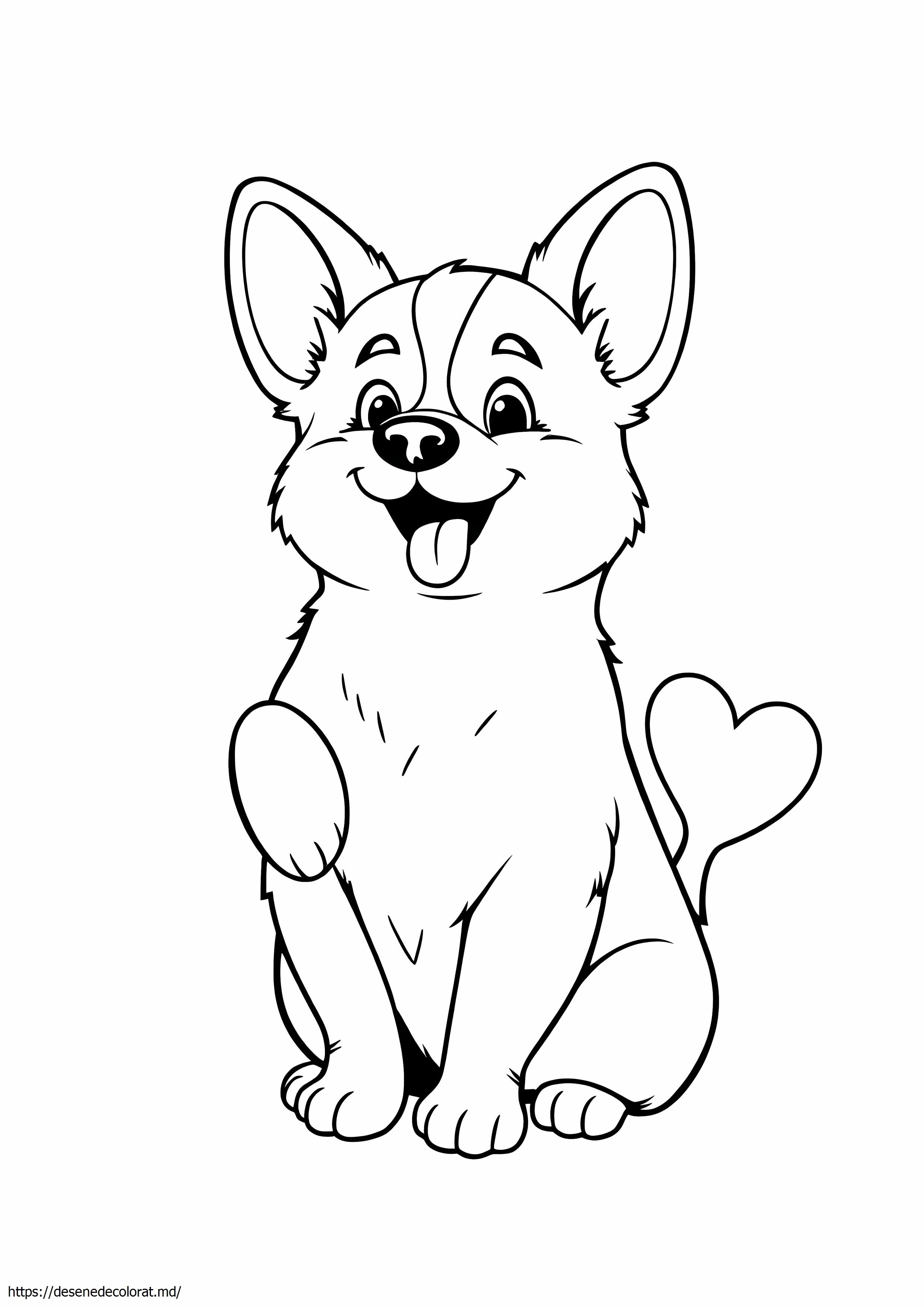 Drăguț corgi