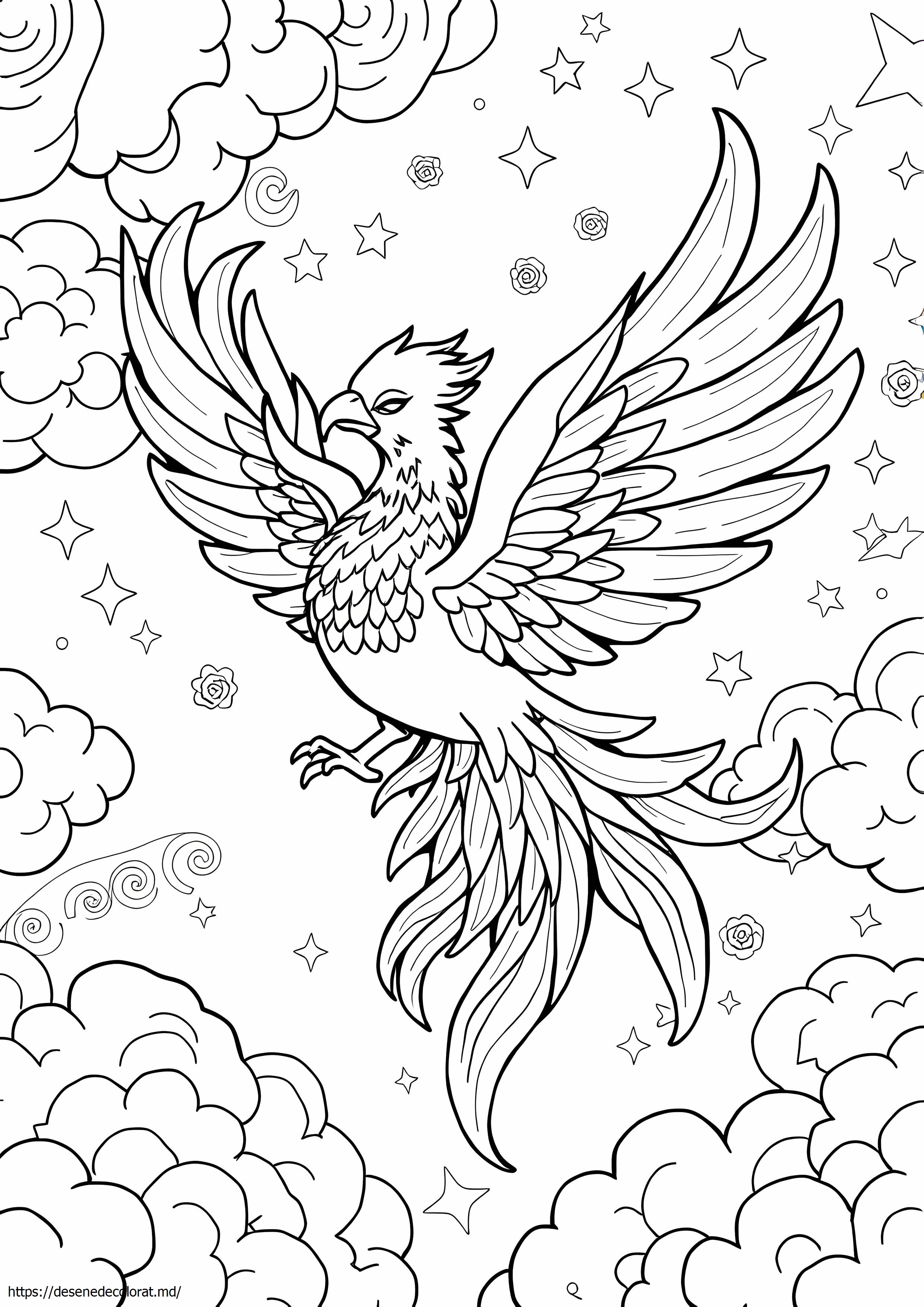 Phoenix detaliat