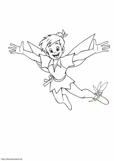 Peter Pan zburător
