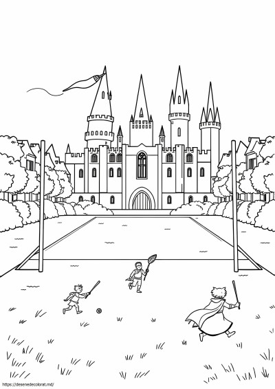 Harry potter quidditch