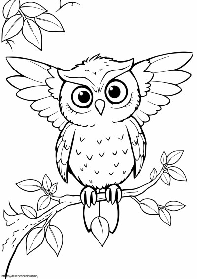 Drăguță Hedwig