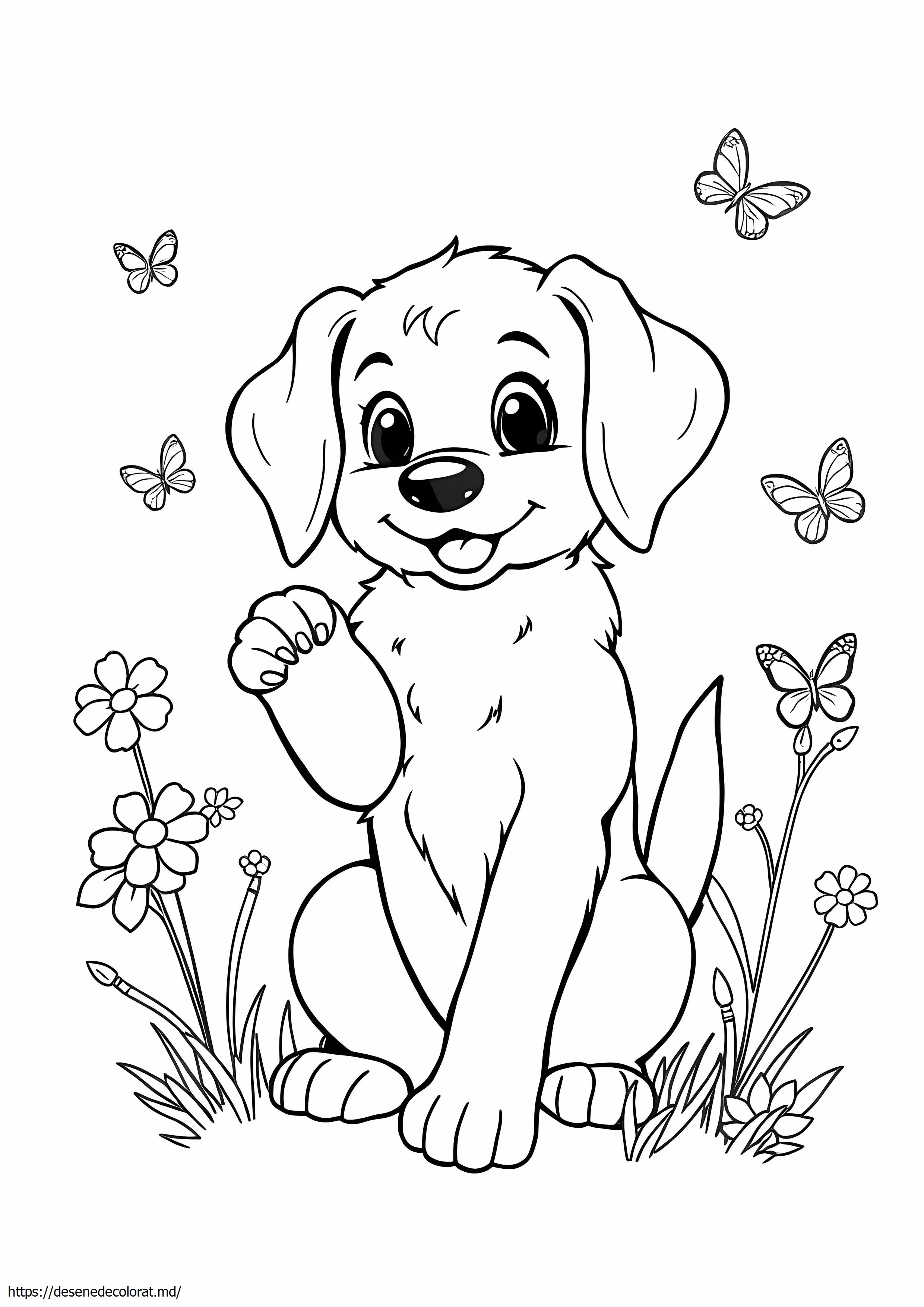 Drăguț Golden Retriever
