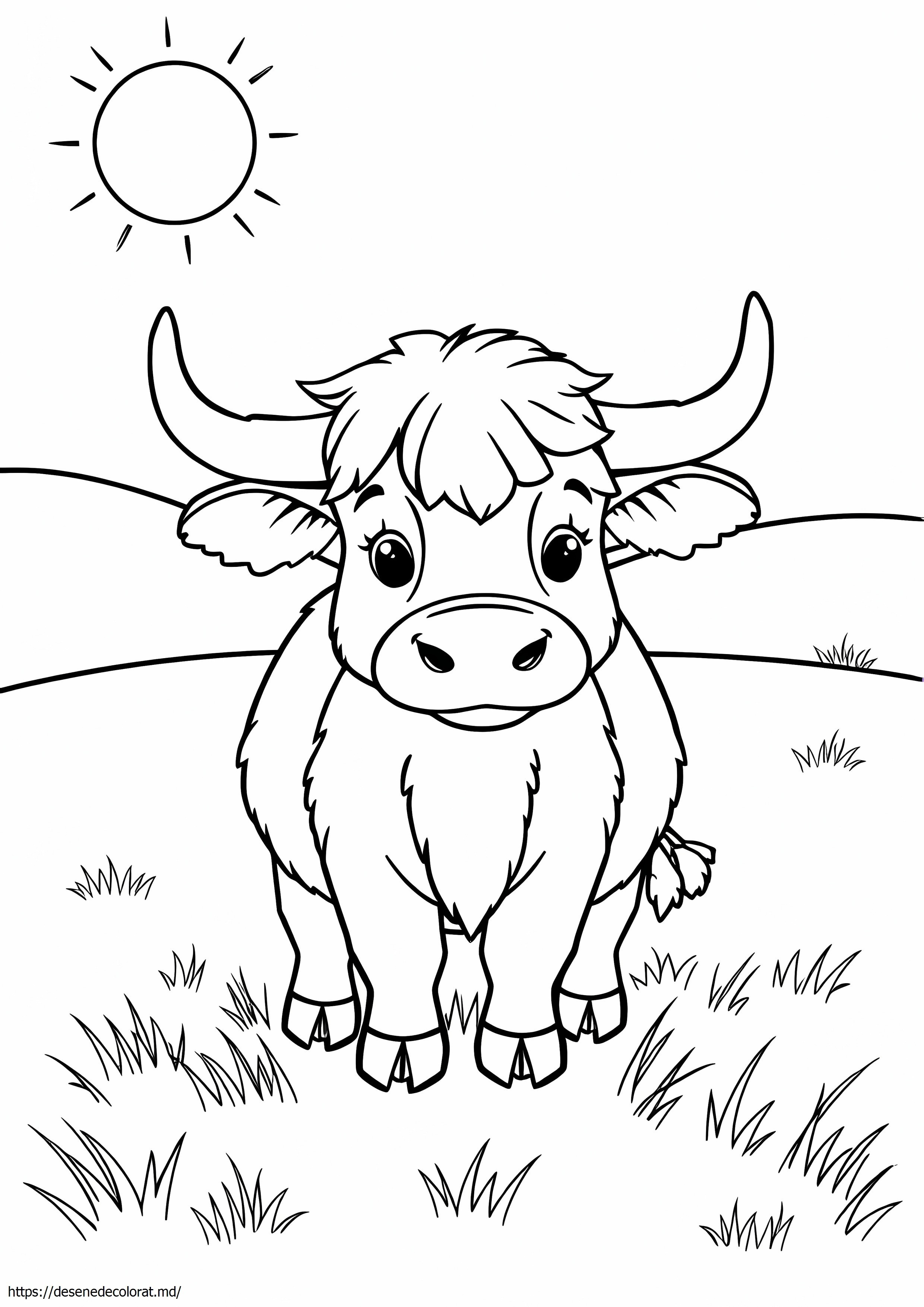 Drăguță vacă de munte