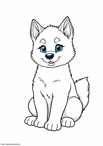 Drăguț cățeluș husky