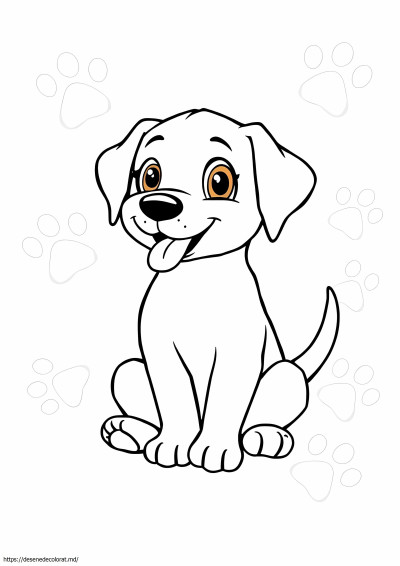 Drăguț labrador