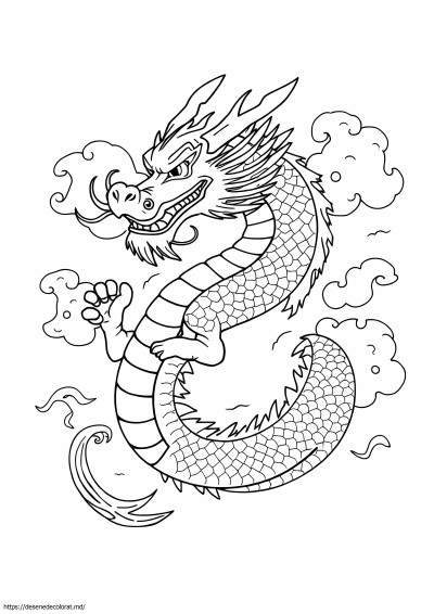 Dragon chinez realist