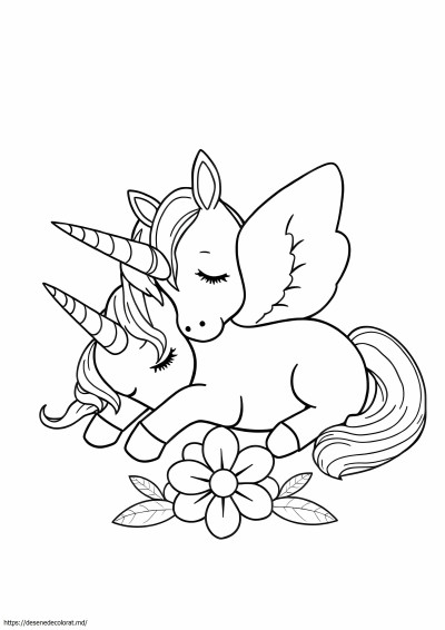 Unicorn adormit