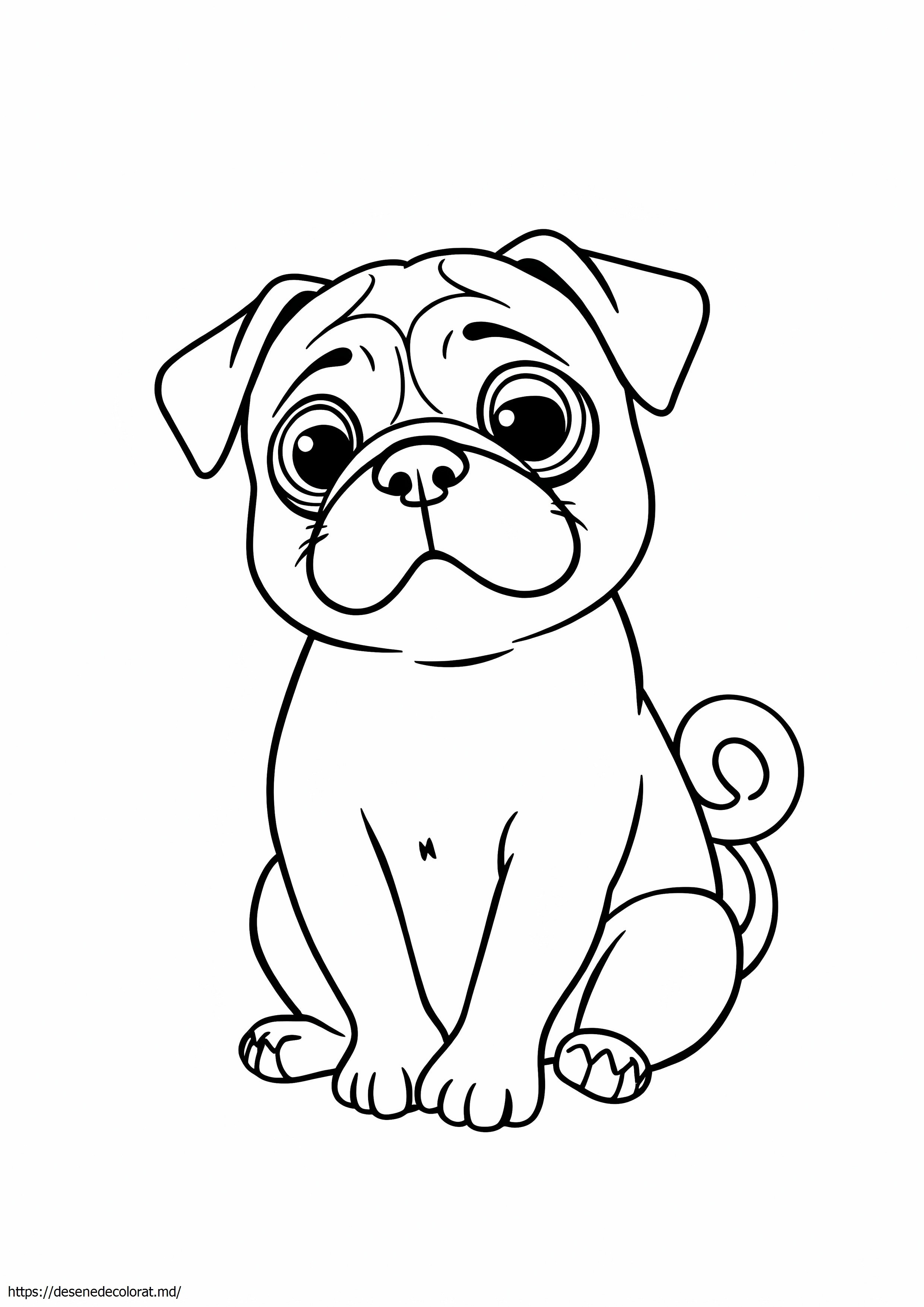 Drăguț pug