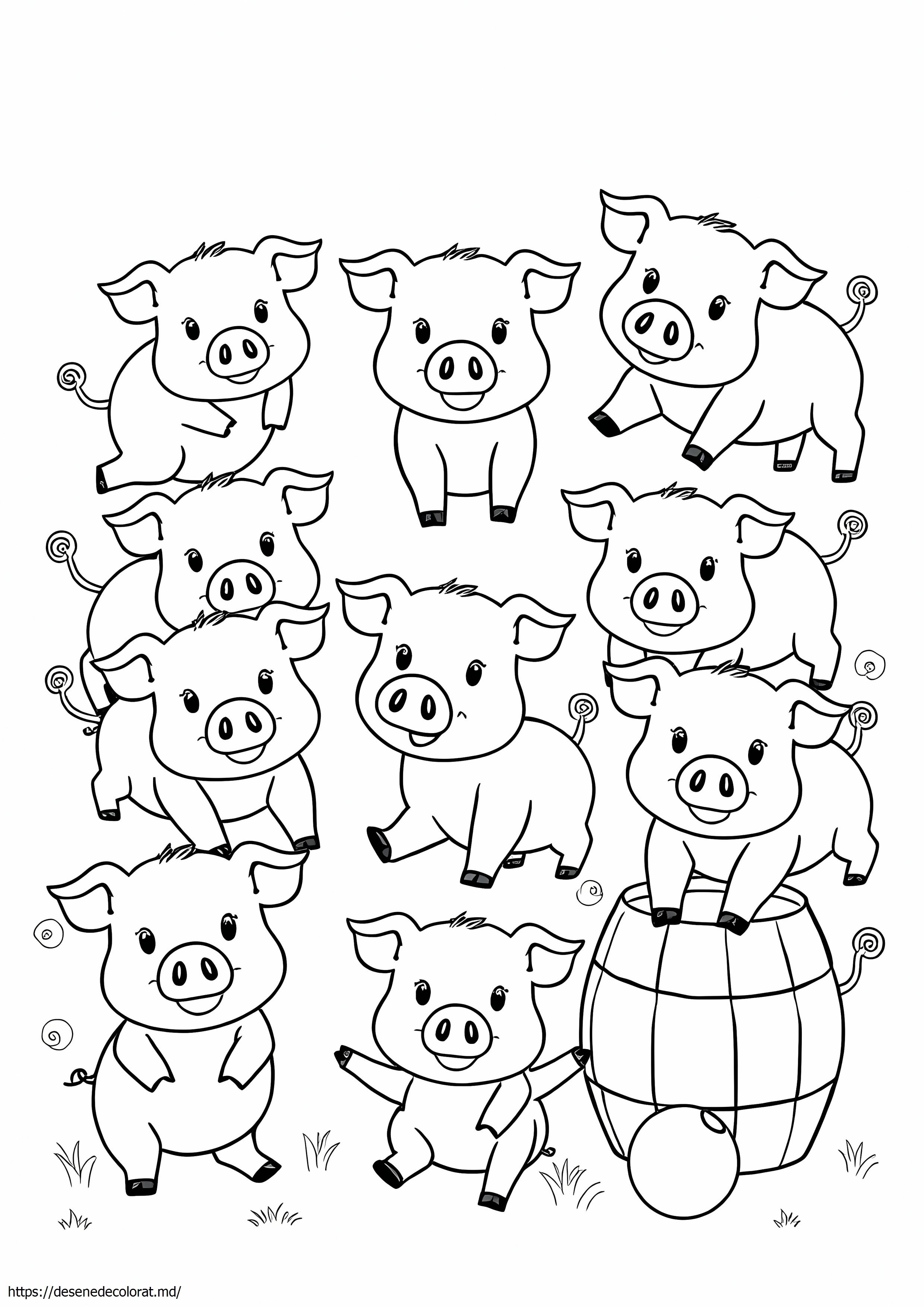 Porci drăguți