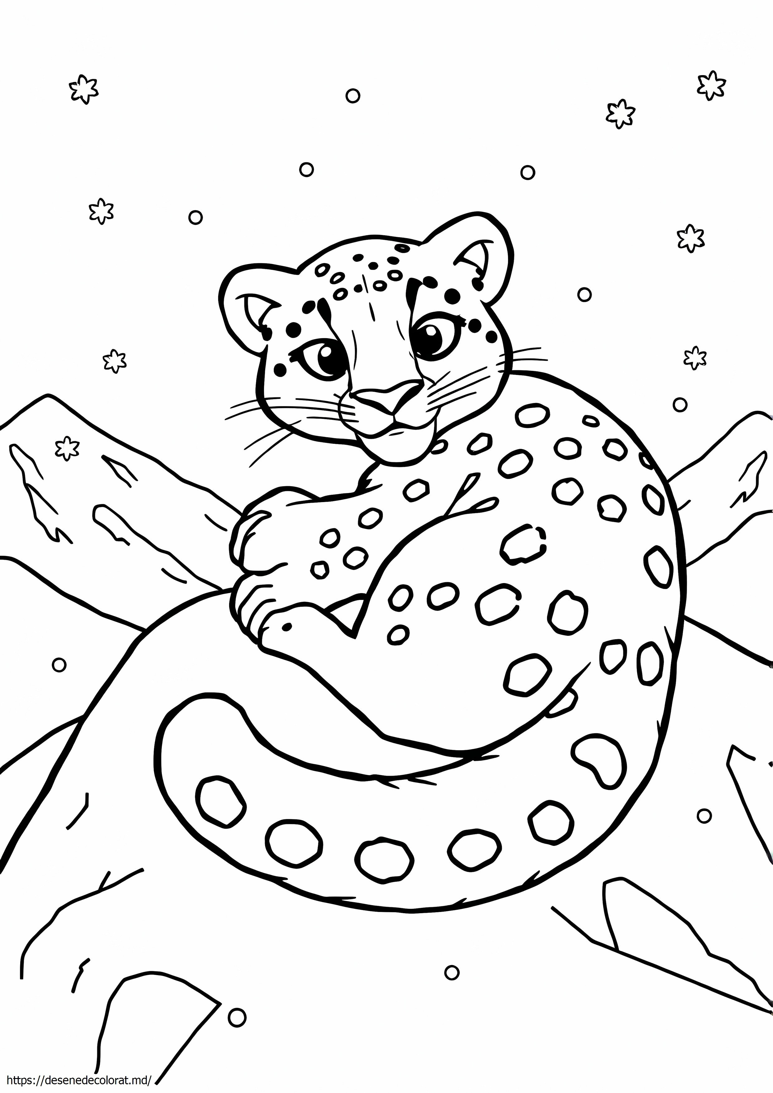 Drăguț leopard de zăpadă