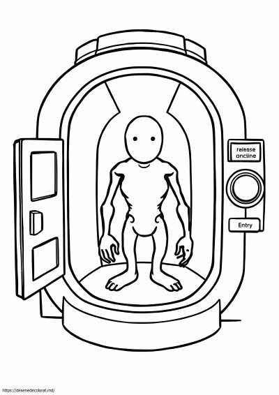 Fundația scp