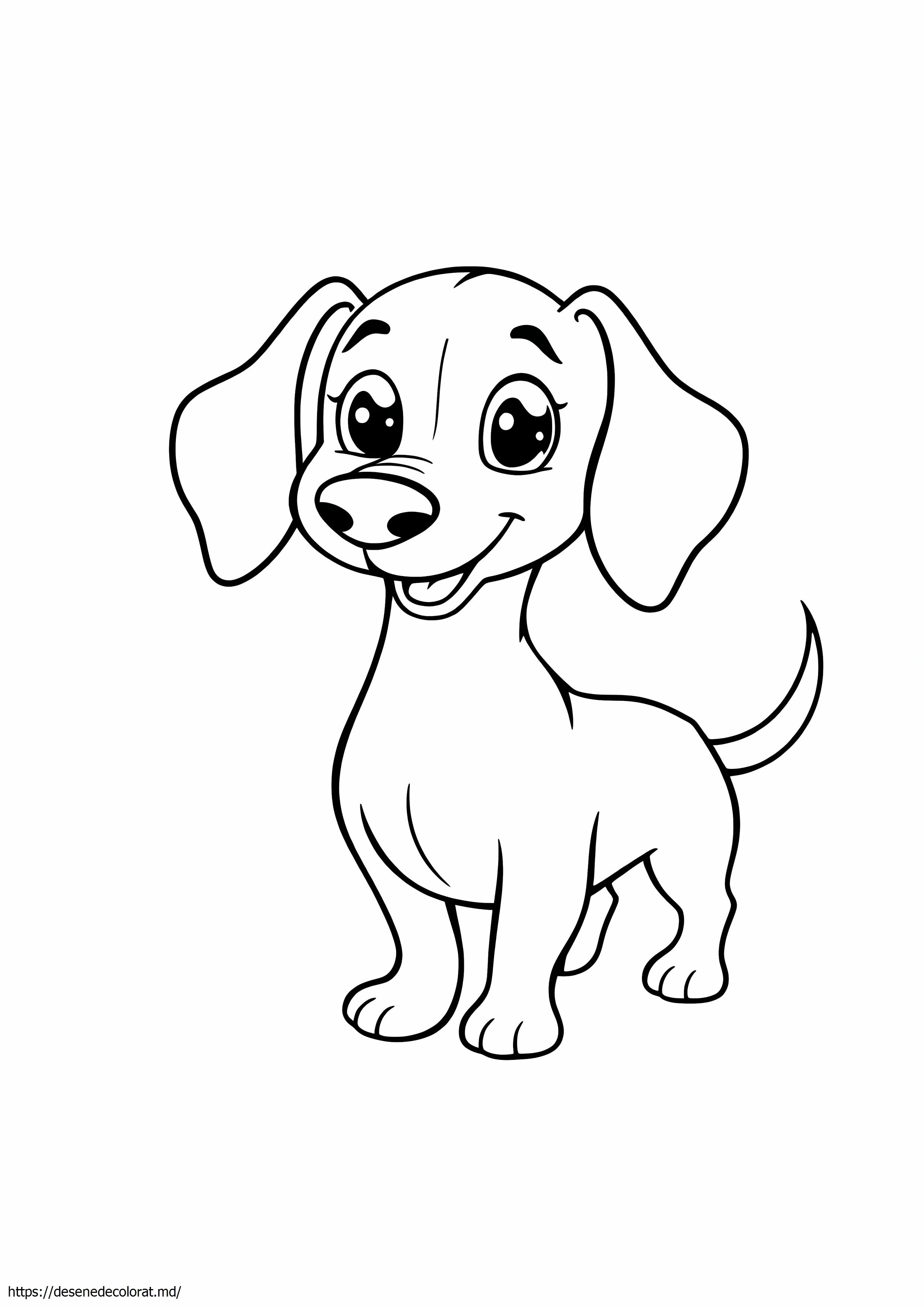 Drăguț câine wiener