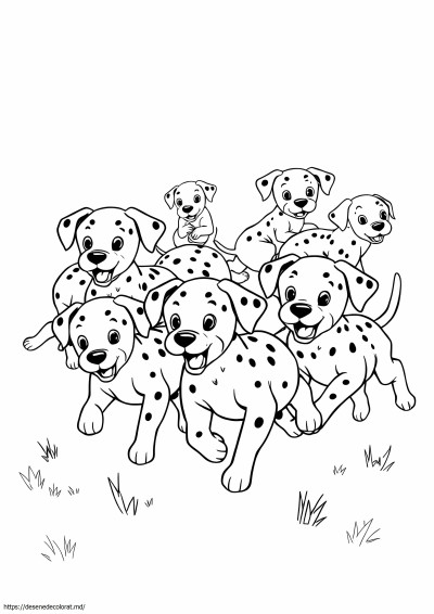 Catelusi dalmatian