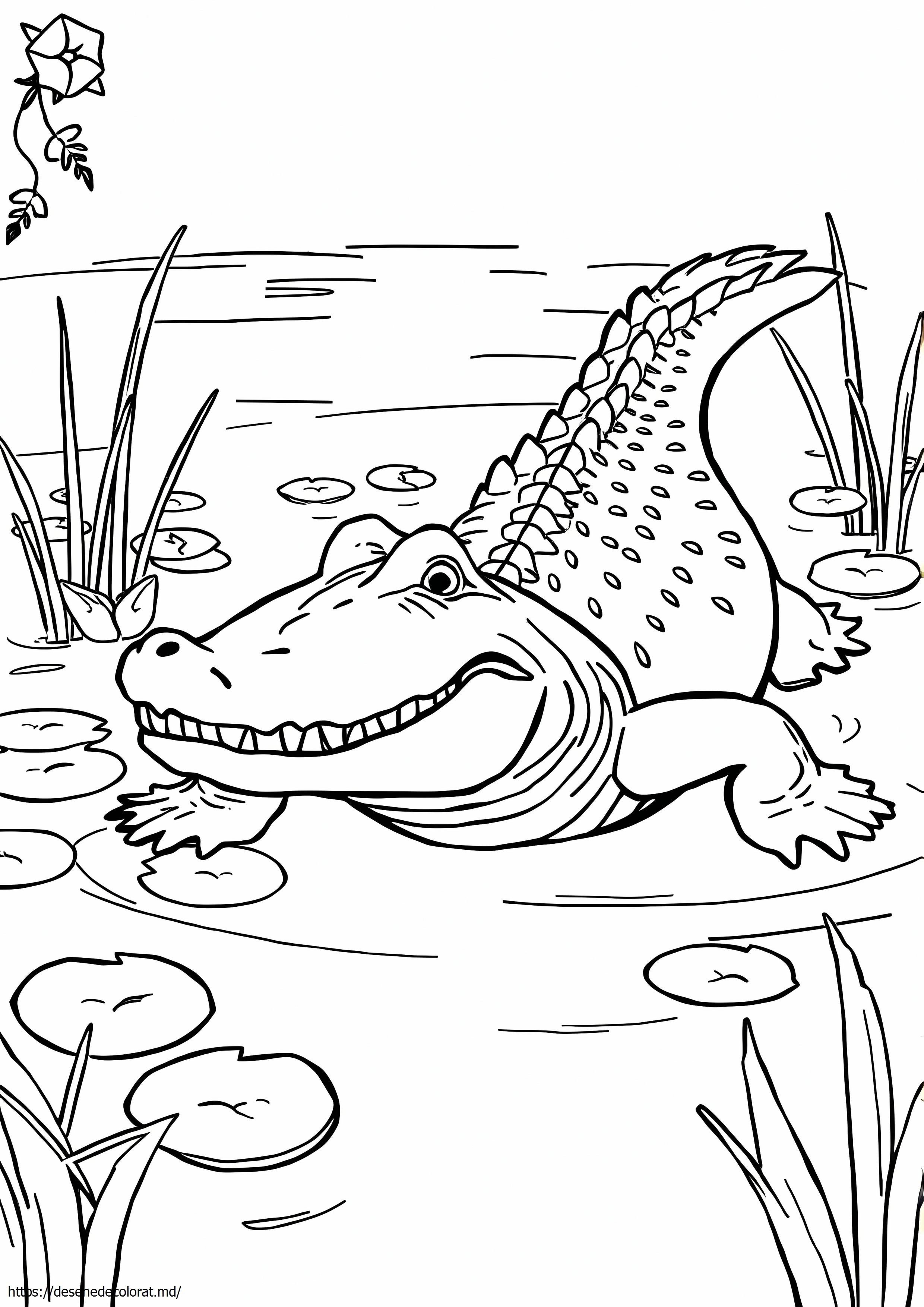Aligator gar